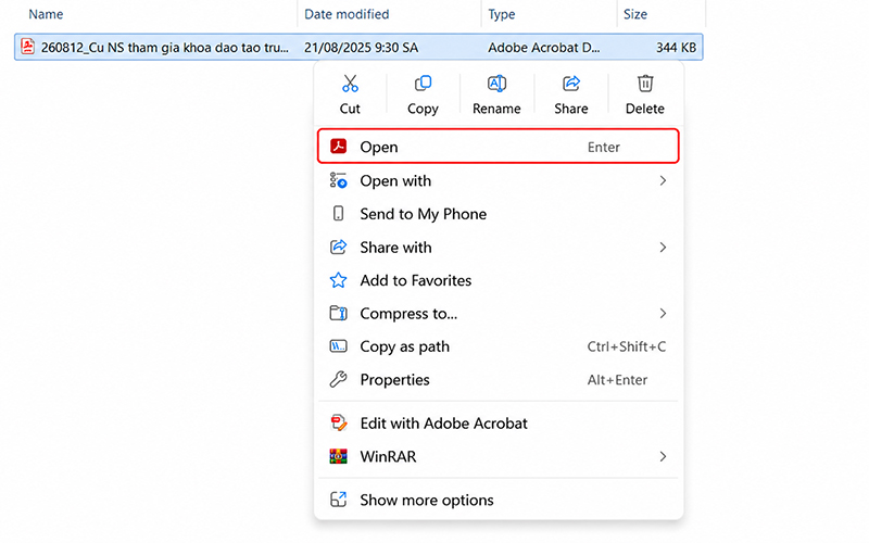 Mở file PDF đã ký số bằng Adobe Acrobat hoặc Acrobat Reader